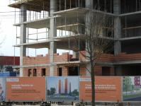 Imagine atasata: Vivalia Bulbuca - 2016.02.28 - 07.jpg